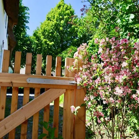 Hébergement de vacances Reetgedecktes In Auf Foehr Nieblum